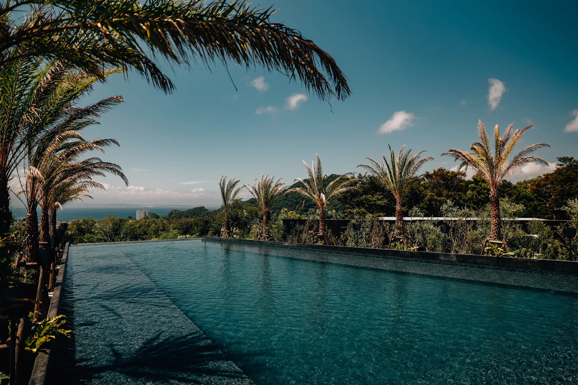 Image of Botanical Pool Club